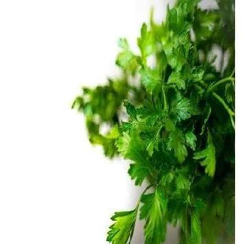 cilantro molido ht (4kg)